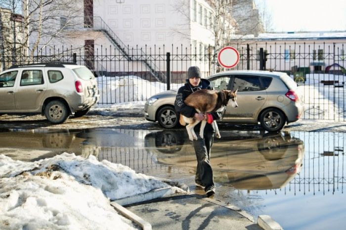 ​Сургутян ждет большой плюс
