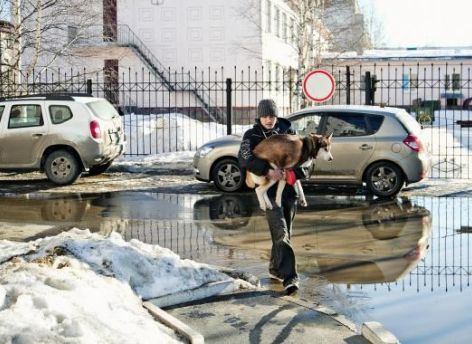 ​Сургутян ждет большой плюс