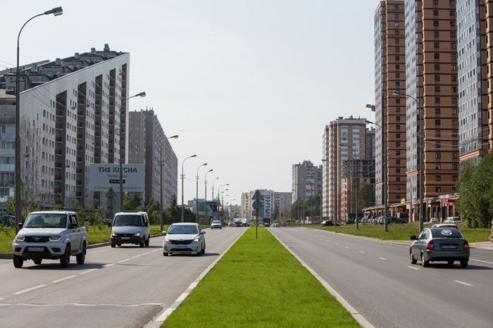 На некоторых пешеходных переходах Сургута посадят акацию, шиповник и боярышник