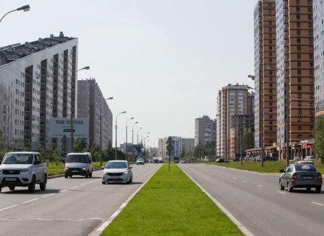 На некоторых пешеходных переходах Сургута посадят акацию, шиповник и боярышник