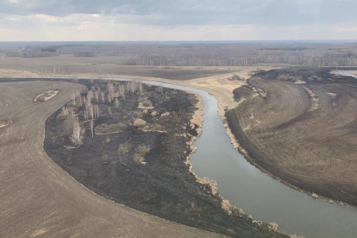 ​С 15 апреля в Тюменской области вводится особый противопожарный режим