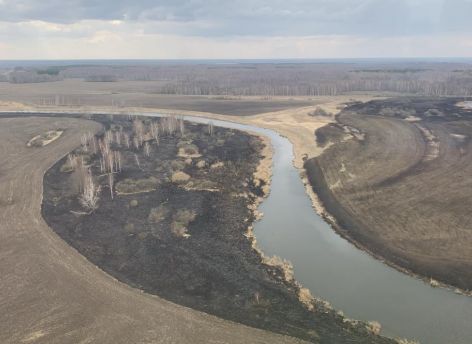 С 15 апреля в Тюменской области вводится особый противопожарный режим
