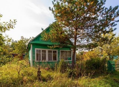 Опасная дача: как теряют деньги и землю при покупке