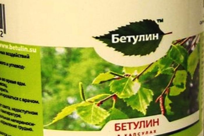 ​В производство бетулина в Тюмени вложат 142 млн рублей