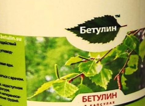 В производство бетулина в Тюмени вложат 142 млн рублей