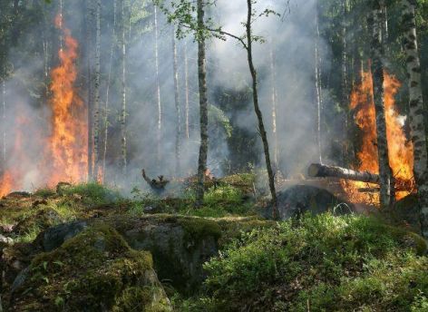 Вертолет из Сургута отправили тушить пожары в Тюменской области