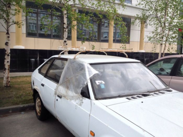 В Сургуте избавятся от 20 брошенных автомобилей