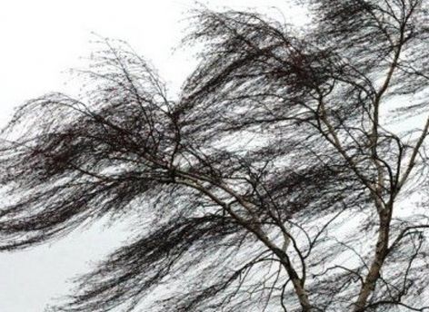 ​Лето в Сургуте начнется с ветра