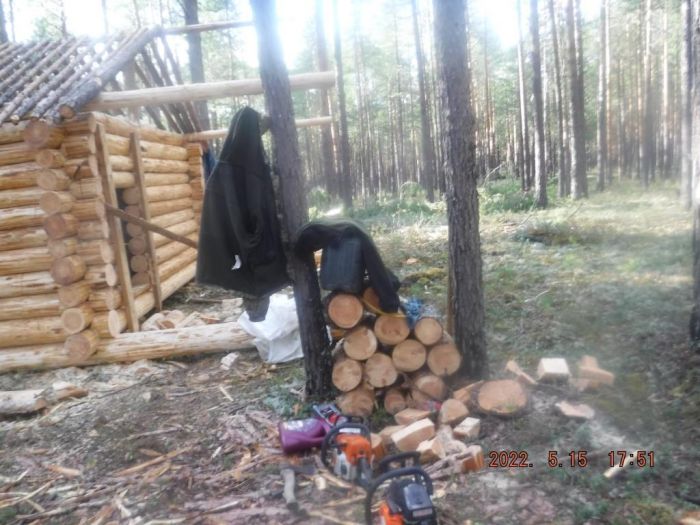 Строительство избы в лесной глуши дорого обойдется югорчанам