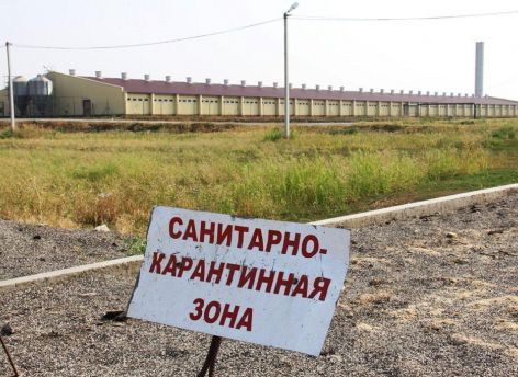 Участок в Ханты-Мансийском районе закрыли на карантин из-за бешенства