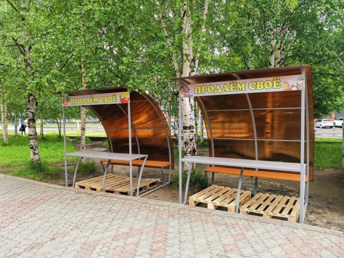 В Нижневартовске дачники будут продавать ягоды и зелень