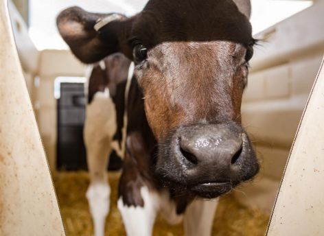 Сельские жители Тюменской области реализуют продукцию через сельскохозяйственные кооперативы