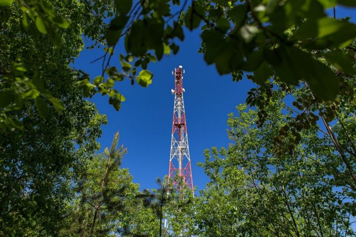 ​Мобильная сеть МегаФона признана лучшей в России