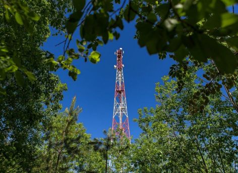 Мобильная сеть МегаФона признана лучшей в России