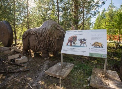 На ​«Барсовой горе» проходит первый этап благоустройства