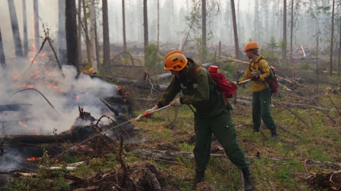 ​В сургутских лесах высока вероятность пожаров