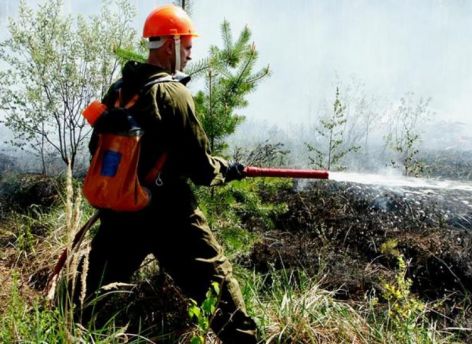 В югорском заповеднике продолжается борьба с пожаром