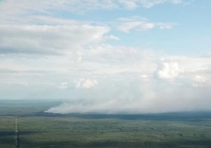 Повышенное содержание угарного газа и сероводорода обнаружили в ХМАО из-за лесных пожаров