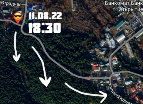 Жителей Ханты-Мансийска зовут на субботник в лес рядом с кладбищем