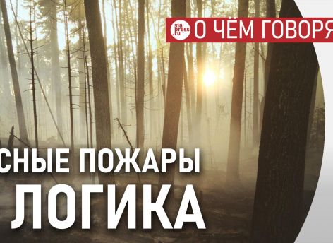 ​У федеральной власти в отношении пожаров простая логика: сегодня леса горят, завтра их потушит дождь, беспокоиться не о чем