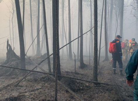 В ХМАО снимают режим ЧС, введенный из-за горящих лесов