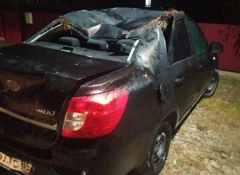 Непристегнутый пожилой пассажир получил травмы в автоаварии в Сургутском районе