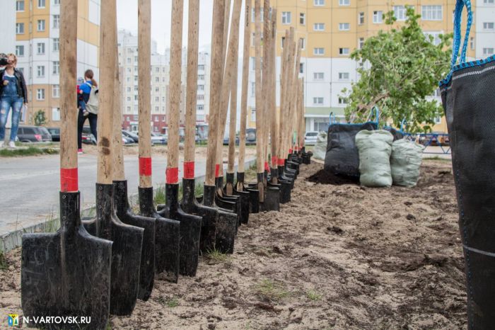 Осенняя «зеленая» кампания пройдет в Нижневартовске