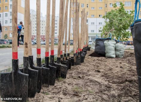 Осенняя «зеленая» кампания пройдет в Нижневартовске