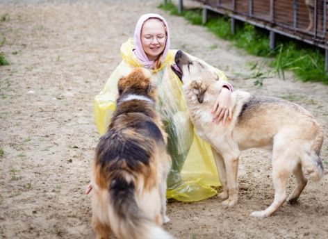 ​Сургутскому движению «Дай лапу» исполнилось 10 лет