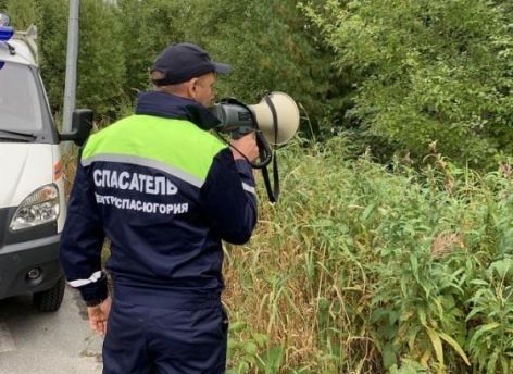 ​В Советском районе в лесу заблудились двое пенсионеров