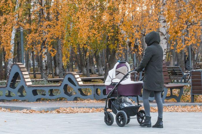 ​80 процентов многодетных семей Тюменской области обеспечены земельными участками