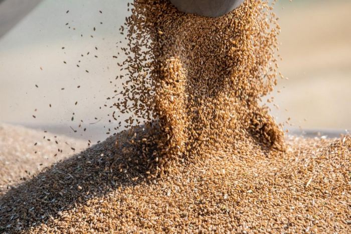 ​Объем произведенной сельхозпродукции на душу населения в Тюменской области выше среднероссийского