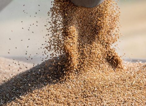 Объем произведенной сельхозпродукции на душу населения в Тюменской области выше среднероссийского