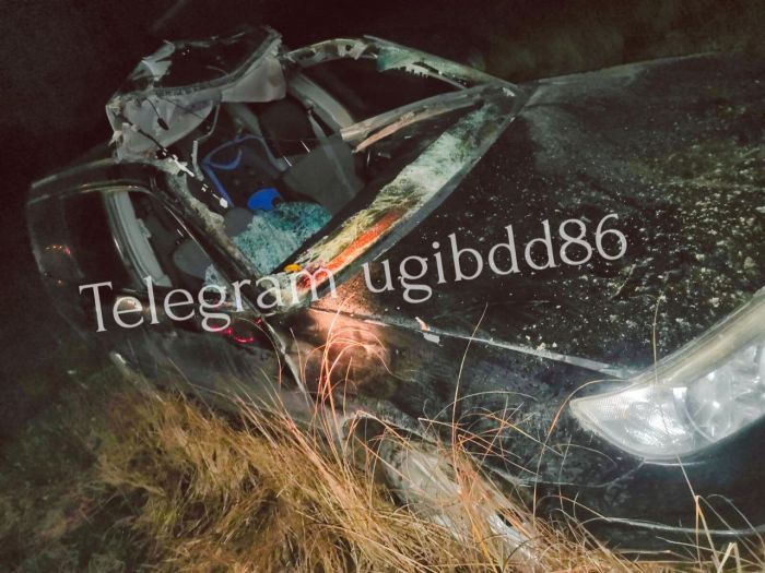 Водитель Subaru столкнулся с лосем на югорской трассе - животное погибло