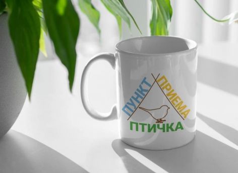 Экзотическая «Птичка» поселилась в Сургуте 