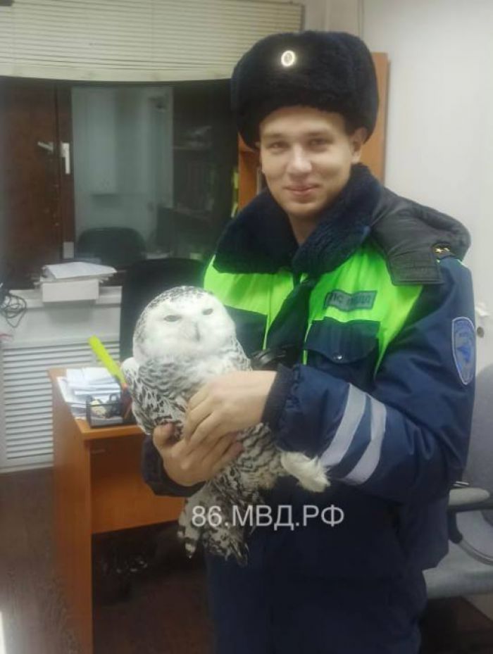 Автоинспекторы Югры спасли краснокнижную птицу