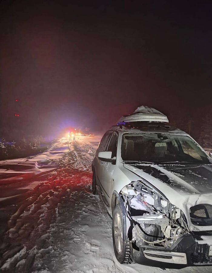 Водитель «BMW» насмерть сбил оленя на автодороге «Сургут-Когалым»