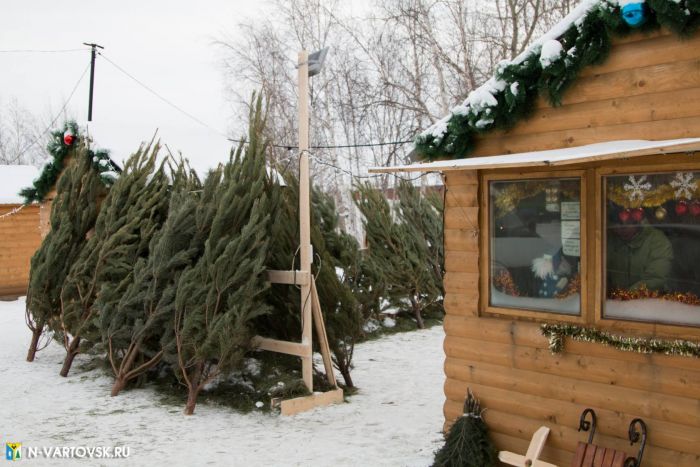 В Нижневартовске откроют 27 елочных базаров