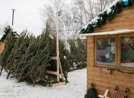 В Нижневартовске откроют 27 елочных базаров