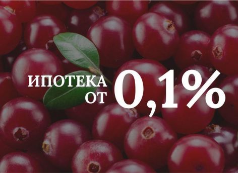 ​Студия с одной спальней площадью 39,4 м² в доме «Клюква» за 13 472 ₽ в месяц*