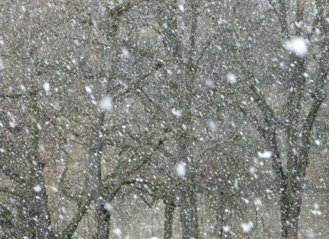 На дорогах Югры временно ввели ограничения для грузовиков 