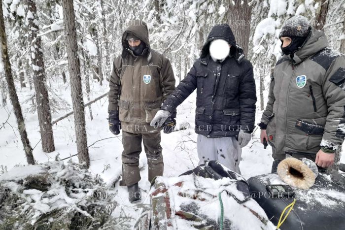 Югорчанин попался на незаконной охоте на соболей