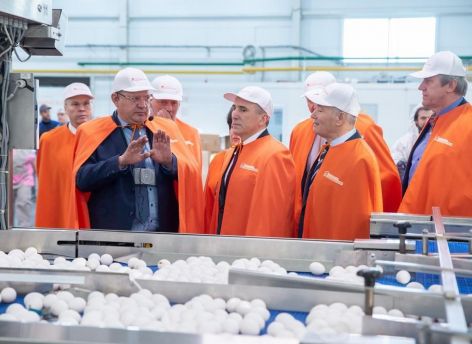 На птицефабрике «Пышминская» планируют довести производство яйца до 450 миллионов штук в год