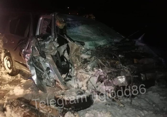 В Нижневартовском районе водитель и пассажир остались чудом живы после ДТП с фурой