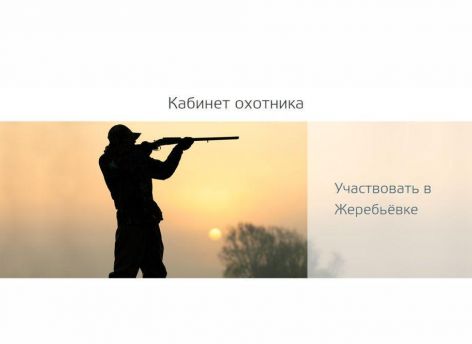 У тюменских охотников появляется больше онлайн-возможностей