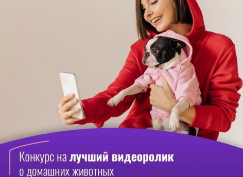 Сургутяне могут поучаствовать в конкурсе на лучший видеоролик о домашних животных