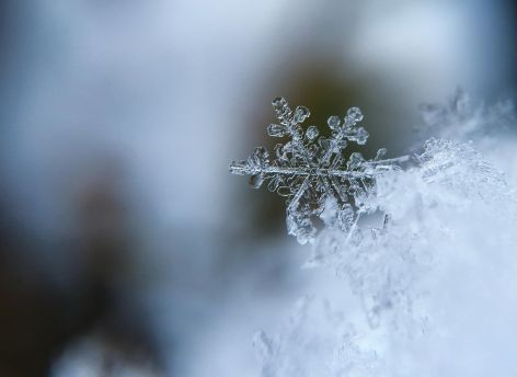 Февральские праздники в Сургуте будут по-весеннему теплыми