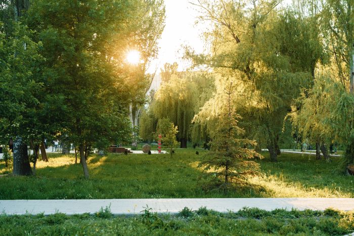 В Югорске анонсировали масштабную работу по благоустройству