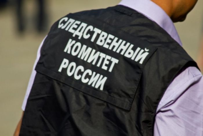 Следователи проверят югорскую ферму, где коровы гибнут от голода