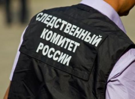 Следователи проверят югорскую ферму, где коровы гибнут от голода